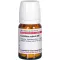 CORALLIUM RUBRUM D 6 compresse, 80 pz