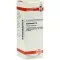 DULCAMARA D 6 Diluizione, 20 ml