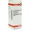 ECHINACEA HAB D 6 Diluizione, 20 ml