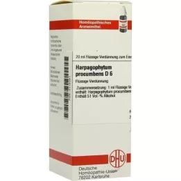 HARPAGOPHYTUM PROCUMBENS D 6 Diluizione, 20 ml