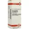 HARPAGOPHYTUM PROCUMBENS D 6 Diluizione, 20 ml