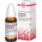 HARPAGOPHYTUM PROCUMBENS D 6 Diluizione, 20 ml