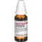 HARPAGOPHYTUM PROCUMBENS D 6 Diluizione, 20 ml