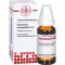GNAPHALIUM POLYCEPHALUM Diluizione D 4, 20 ml