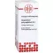 GNAPHALIUM POLYCEPHALUM Diluizione D 4, 20 ml