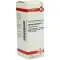 CARDUUS MARIANUS Diluizione D 1, 20 ml