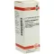 CARDUUS MARIANUS D 6 Diluizione, 20 ml