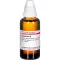 LYCOPODIUM Tintura madre D 1, 50 ml