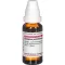SYZYGIUM JAMBOLANUM Tintura madre D 1, 20 ml
