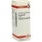 TARAXACUM Tintura madre, 20 ml