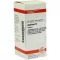 AGARICUS D 6 compresse, 80 pz