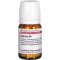 AGARICUS D 6 compresse, 80 pz