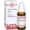 RUTA Tintura madre, 20 ml