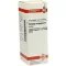 SOLIDAGO VIRGAUREA Tintura madre, 20 ml