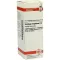 SOLIDAGO VIRGAUREA Diluizione D 3, 20 ml