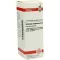 SOLIDAGO VIRGAUREA D 6 Diluizione, 20 ml