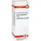 SALVIA OFFICINALIS Tintura madre, 20 ml