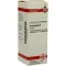 HAMAMELIS Tintura madre, 20 ml
