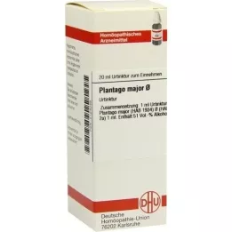 PLANTAGO MAJOR Tintura madre, 20 ml