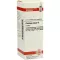 PLANTAGO MAJOR Tintura madre, 20 ml