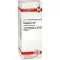 PHOSPHORUS Diluizione D8, 20 ml
