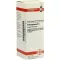 PETROSELINUM D 6 Diluizione, 20 ml