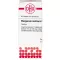 MANGANUM ACETICUM D 6 compresse, 80 pz