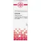CACTUS D 6 Diluizione, 20 ml