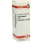 VISCUM ALBUM Tintura madre, 20 ml
