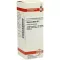 VISCUM ALBUM Diluizione D2, 20 ml