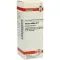 VISCUM ALBUM D 6 Diluizione, 20 ml