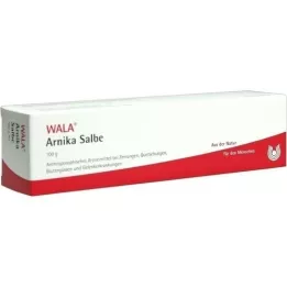 ARNIKA UNGUENTO, 100 g