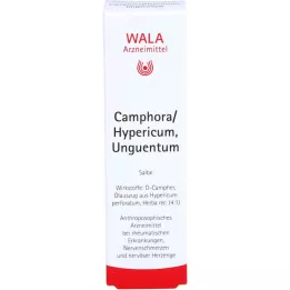 CAMPHORA/HYPERICUM Unguento, 30 g