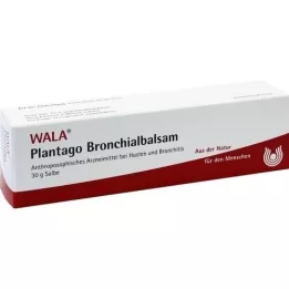 PLANTAGO BALSAMO BRONCHIALE, 30 g