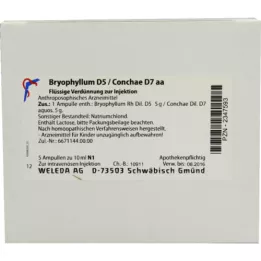 BRYOPHYLLUM D 5/Conchae D 7 fiale, 5X10 ml
