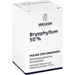 BRYOPHYLLUM 50% Polvere orale, 20 g