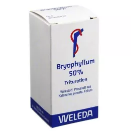 BRYOPHYLLUM 50% Polvere orale, 20 g
