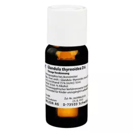 GLANDULA THYREOIDEA D 6 Diluizione, 50 ml