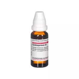 CARDIOSPERMUM D 1 Diluizione, 20 ml