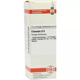 CLEMATIS D 6 Diluizione, 20 ml