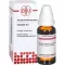 CLEMATIS D 6 Diluizione, 20 ml