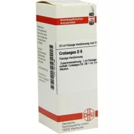 CRATAEGUS D 6 Diluizione, 20 ml