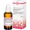 EQUISETUM ARVENSE Diluizione D3, 50 ml