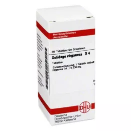 SOLIDAGO VIRGAUREA D 4 compresse, 80 pz