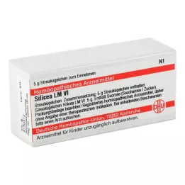 SILICEA LM VI Globuli, 5 g