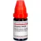 GRAPHITES LM XXX Diluizione, 10 ml