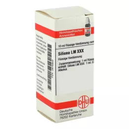 SILICEA LM XXX Diluizione, 10 ml