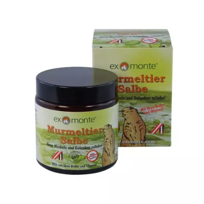 MURMELTIER SALBE senza paraffine, 100 ml MURMELTIER SALBE senza paraffine, 100 ml