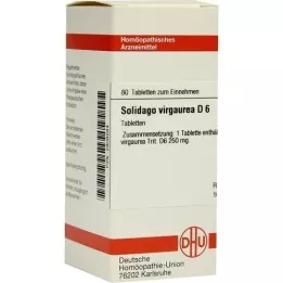 SOLIDAGO VIRGAUREA D 6 compresse, 80 pz