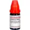 PHOSPHORUS LM XXX Diluizione, 10 ml